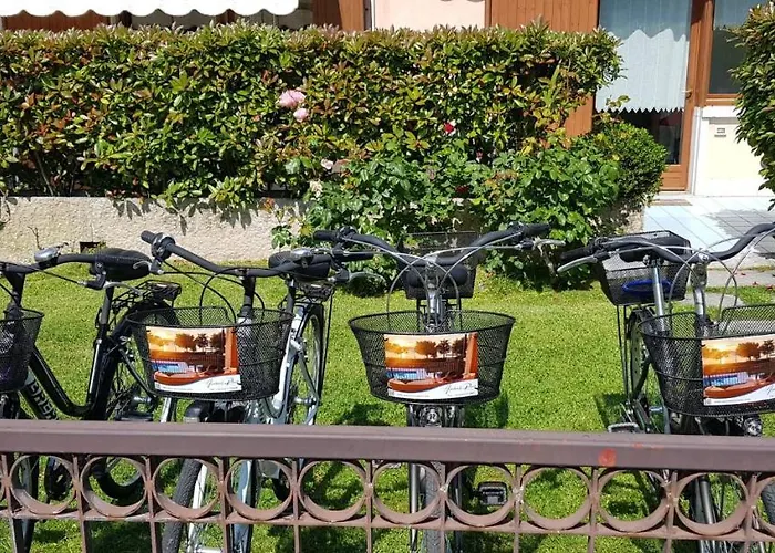 Front Lake Rainer Daire